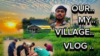 ପଡିଆ କାମ ହେଉ ଚି ବର୍ଷା paku chi odia vlog 🥰 village blog 💫Adityavlog9692☺️