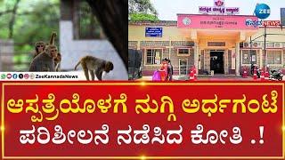 Koppala | Gangavathi hospital ವೈದ್ಯರ ಚಿಕಿತ್ಸಾ ಕೊಠಡಿಗಳಿಗೂ ನುಗ್ಗಿ ಪರಿಶೀಲನೆ ನಡೆಸಿದಂತೆ ನಡೆಸಿದ ಕೋತಿ.