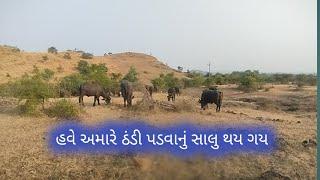 હવે અમારે ઠંડી પડવાનું સાલુ થય ગય  //Alu Ahir vlogs//