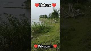 Beautiful Nature Of Dibrugarh Assam North East India