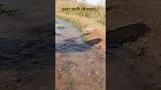 उल्टा पानी(मैनपाट) अंबिकापुर