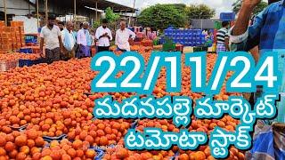 22-11-24 Madanapalle Tomato Market price Today || Today Tomato Market Rate in Madanapalle