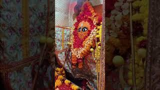 जय मां हरसिद्धि देवी मंदिर रानगिर सागर मध्य प्रदेश 21/12/2024🌺🙏 मैया रानगिर वाली सागर मध्य