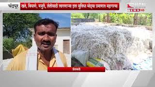 Chandrapur- चांगला भाव मिळेल या आशेने माल साठवण्याकडे शेतकऱ्यांचा कल | चंद्रपूर