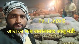 jalalabad aalu mandi। Aaj ka bhav । aalu bhav today । आज का भाव जलालाबाद आलू मंडी। 12.1.2025