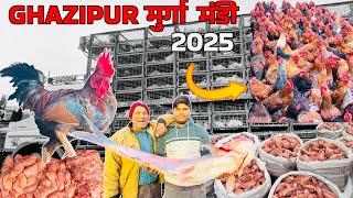 ग़ाज़ीपुर मुर्ग़ा बाज़ार दिल्ली 2025॥Ghazipur Murga Mandi Delhi Today Price|ghazipur Fish mandi 2025