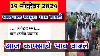 🔴 29 नोव्हेंबर 2024। यवतमाळ कापूस भाव वाढले। मानवत कापूस भाव।कापुस बाजार भाव आजचे।Kapus Bhav Today|