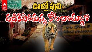 Tiger Fear in Srikakulam | శ్రీకాకుళం జిల్లాను వణికిస్తున్న పెద్దపులి | ABP Desam