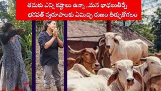 సాక్షాత్తూ భగవత్ స్వరూపాలైన మూగజీవాలతో  కష్టసుఖాలుచందానగర్ చిలుకూరు