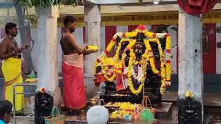 ஸ்ரீ சரபேசுவரர் அர்ச்சனை ஆராதனை🪔🪔 அருணாசலம் சிவன் ஆலயம் ஆற்காடு🔱🛕