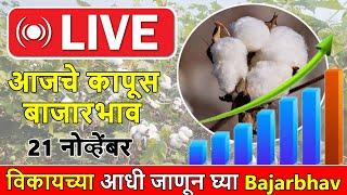 🔴21नोव्हेंबर || आजचे कापूस बाजारभाव || Kapus bhav today live || हिंगणघाट,सेलु