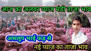 Today News Red Onion Price असलूप भाई फड़ से लाइव नीलामी अलवर प्याज मंडी ताजा भाव 🧅🧅🧅🧅