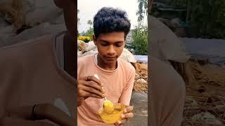 ଆଜି ବନେଇ ଲି night କ୍ରିମ୍ 🍚☺️🙃✌️ #minivlog #shortvideo #fesyasa #mr_raj_official 60 #public 🫰☺️