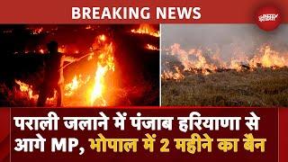 Bhopal Stubble Burning BREAKING NEWS: भोपाल में Parali जलाने पर 2 महीने तक कलेक्टर ने लगाई रोक | MP