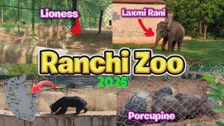 Ranchi zoo - ranchi zoo park | Ormanjhi zoo in  Ranchi chidiyaghar  रांची चिड़ियाघर!!..