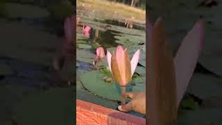 Chandubi lake boating