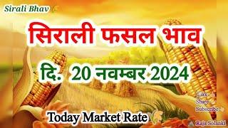 सिराली फसल भाव 20 नवंबर 2024 🌾। Sirali Fasal Bhav । Today Market Rate