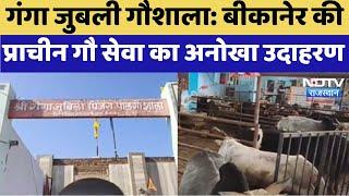 Ganga Jubilee Cowshala : Bikaner की प्राचीन गौ सेवा का अनोखा उदाहरण | Special News | Latest News