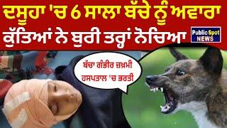 DASUYA 'ਚ 6 ਸਾਲਾ ਬੱਚੇ ਨੂੰ ਅਵਾਰਾ ਕੁੱਤਿਆਂ ਨੇ ਬੁਰੀ ਤਰ੍ਹਾਂ ਨੋਚਿਆ, ਬੱਚਾ ਗੰਭੀਰ ਜ਼ਖ਼ਮੀ ਹਸਪਤਾਲ 'ਚ ਭਰਤੀ