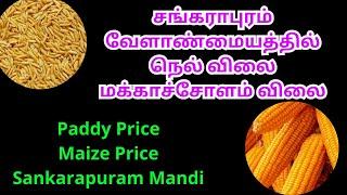 சங்கராபுரம் வேளாண்மையத்தில் நெல் விலை | மக்காச்சோளம் விலை | ADT 51 Paddy Price | Sankarapuram Mandi