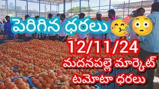 12-11-24 Madanapalle Tomato Market price Today || Today Tomato Market Rate in Madanapalle