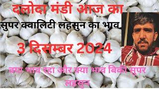 3 दिसम्बर 2024 आज के दलोदा मंडी लहसुन भाव ।super quality base quality garlic| today garlic bhav |