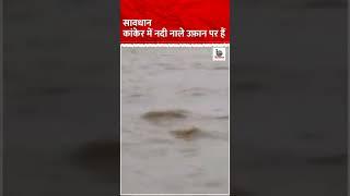 कांकेर वाले सावधान ।कोटरी नदी उफान ।भानुप्रतापपुर chhatisgarh