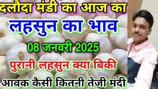 दलौदा मंडी आज का लहसुन का भाव 08 जनवरी 2025 |garlic rate today daloda Mandi