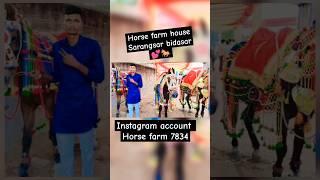 #newtrending #trendsong हॉर्स फार्म हाउस🏡💒 सारंगसर बीदासर #horsefarming🐎🐎dayalaram Nayak horse farm