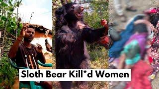 "SHOCKING Sloth Bear ATTACK in BANDHAVGARH 😱🐻 Woman Killed"