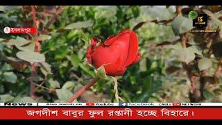 ইসলামপুর: জগদীশ বাবুর ফুল রপ্তানী হচ্ছে বিহারে।