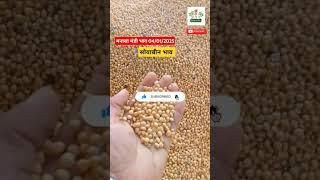 सोयाबीन का भाव मनासा मंडी । Manasa mandi soyabean ka bhav #soyabeanbajarbhav #shorts E_kisaan