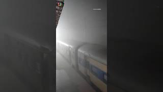 Sonpur became dark fog Nigh 11 PM | कुहासा से सोनपुर अंधेरा