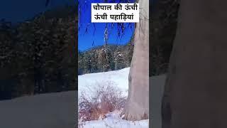 Snow point। शिमला जिला का चौपाल क्षेत्र।