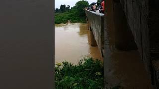 24 घंटा से लगातार बारिया | नदी में बाढ़ 🌊 weather update | bokaro steel city
