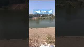 सांगली