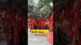 Bodh Gaya_Gaya ..🙏