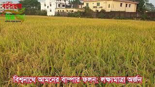 বিশ্বনাথে আমনের বাম্পার ফলন: লক্ষ্যমাত্রা অর্জন | বাসিয়ার চিত্র | বিশ্বনাথ | সিলেট