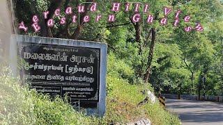 Majestic Beauty of Yercaud | Yercaud Hill Station| Yercaud Tourist | Tamil | yercaud | ஏற்காடு