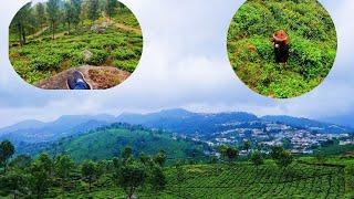 Ooty road kotagiri so beautiful view 😍