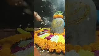 Mahadev Status Videos Aundha Naganath status video