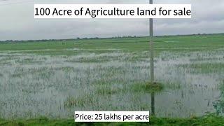 100 Acre | Agricultural land for sale | Machilipatnam Rural | Krishna | Andhra Pradesh | 8019503344