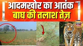 Rajasthan के Dausa में रिहायशी इलाके में Tiger के हमलों से सहमे लोग | Hindi News | Tiger Attack