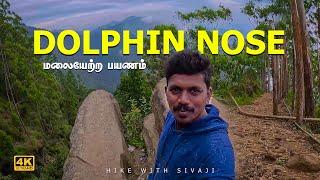 டால்பின் நோஸ் கொடைக்கானல் | dolphin nose kodaikanal | Kodaikanal vlog