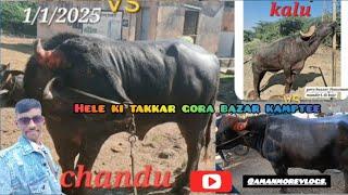 #helekitakkar #youtubeshorts #gorabazar#kamptee 🐃⛰️#nagpur amanmore7140