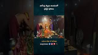 అర్చకులు శ్రీహర్ష, కమిటీ సభ్యులు తదితరులు పాల్గొన్నారు.| Geesugonda | Temple | Way2news Telugu