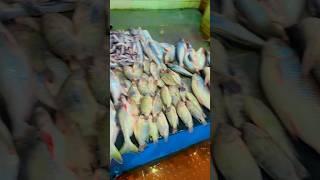 Kurla fish market