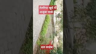 तेतरिया खुर्द में अजूबा पार्क पीपल एंड ब्लॉक#शॉर्ट वीडियो वायरल#short video viral