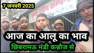 आज का आलू का भाव छिबरामऊ मंडी कन्नौज से 7 जनवरी 2025