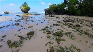 Little Andaman || Hutbay || Andaman & Nicobar Short Video